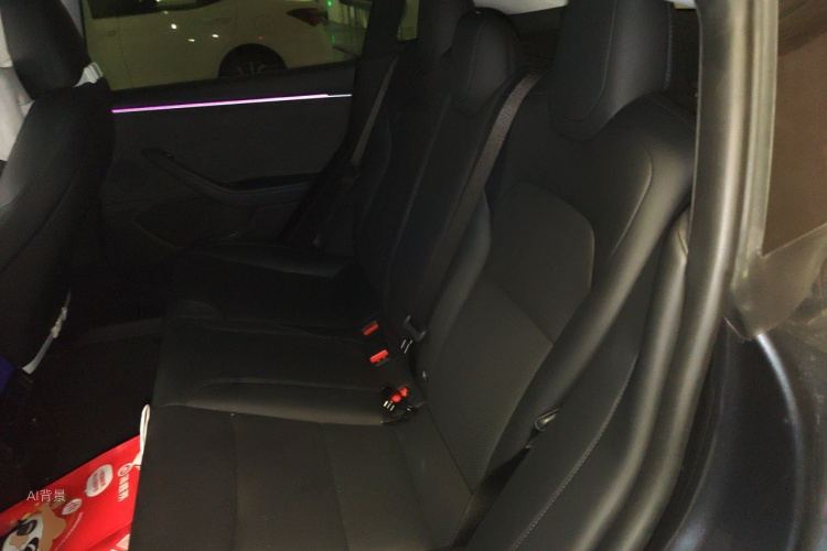 Tesla Model 3 2024 car image #19