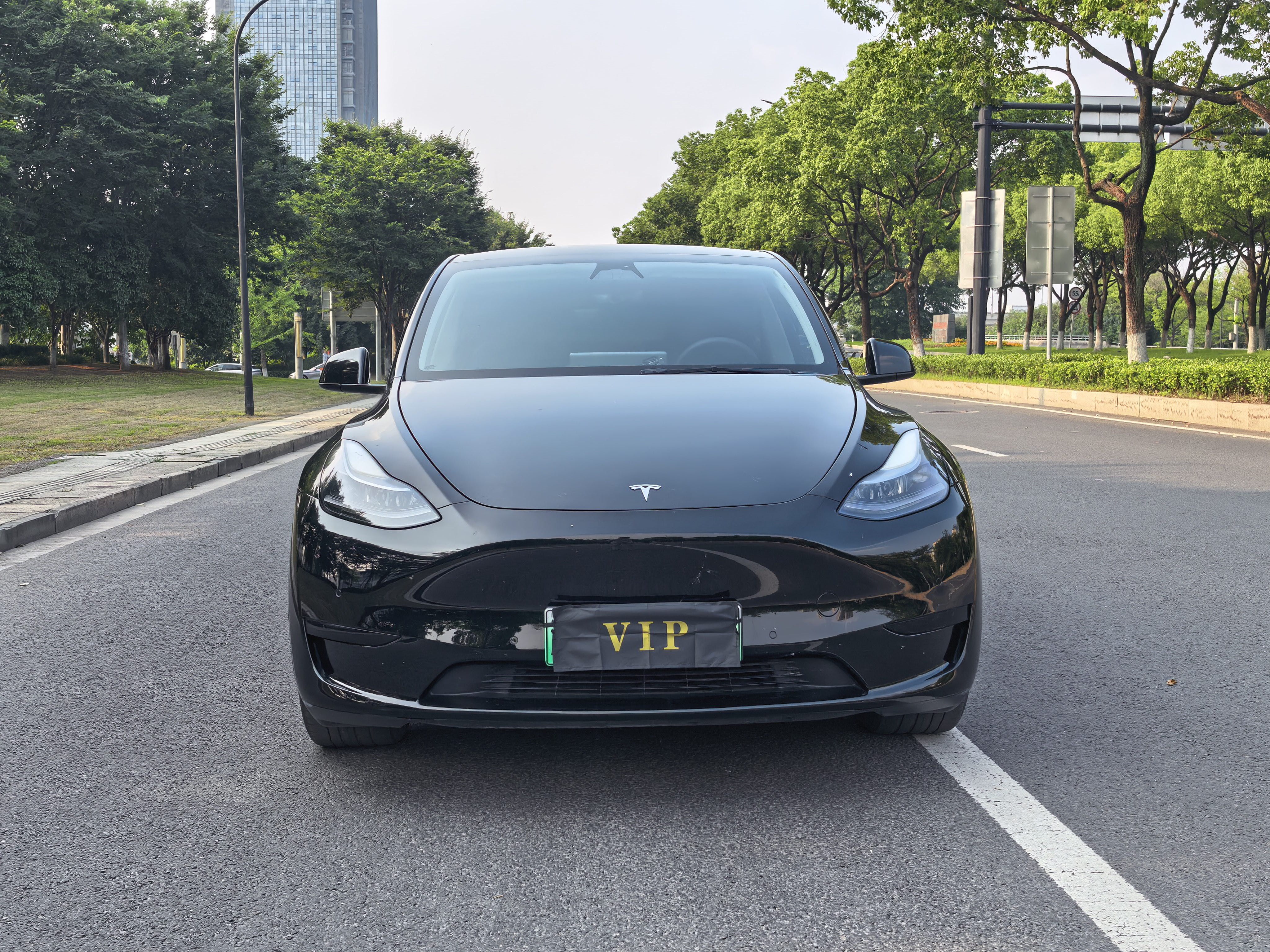 Tesla Model Y 2022 Tesla Model Y 2022 car image