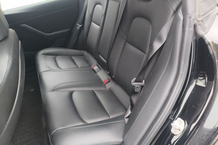 Tesla Model 3 2020 car image #17
