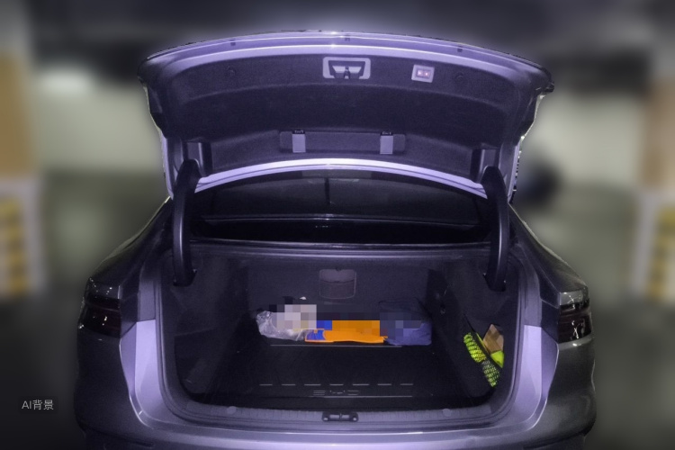 BYD Han 2024 immagine di auto #21