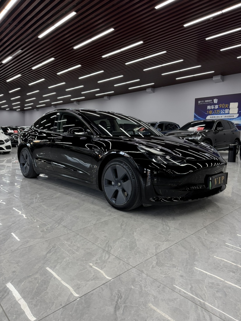 Tesla Model 3 2023 car image 