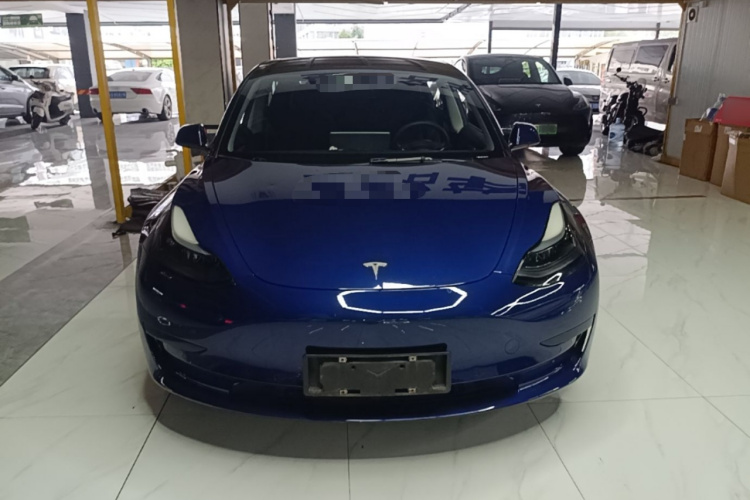 Tesla Model 3 2021 car image #3