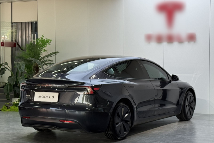 Tesla Model 3 2024 #5 Tesla Model 3 2024 car image #5