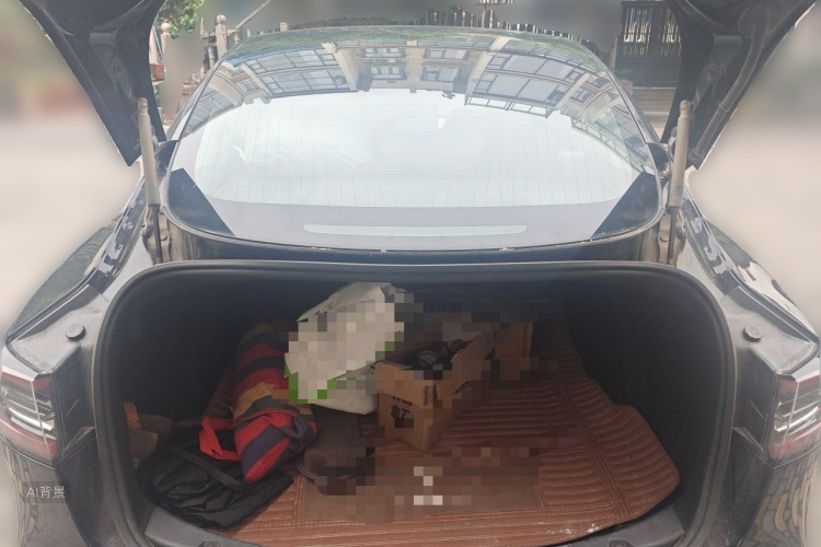 Tesla Model 3 2020 car image #21