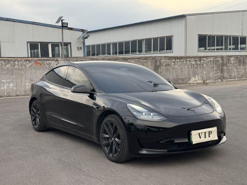 Tesla Model 3 2021 #3 Tesla Model 3 2021 car image #3