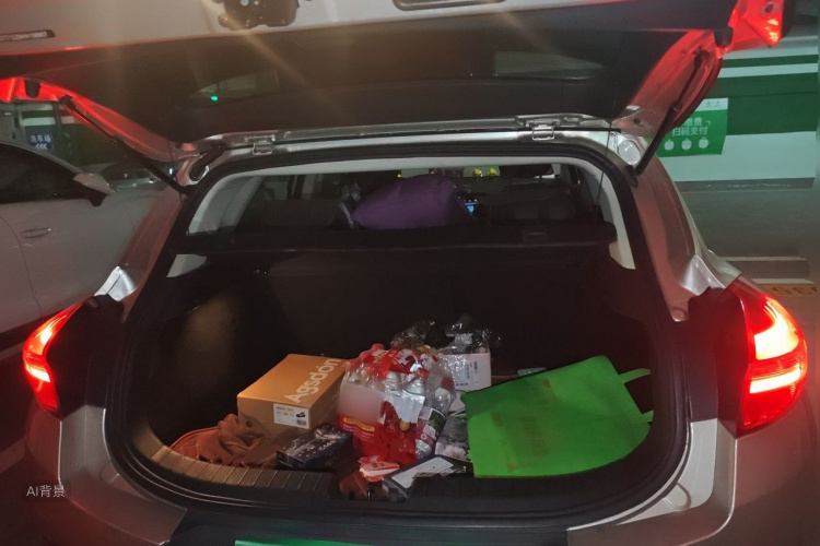 GEELY Emgrand GS 2017 car image #21