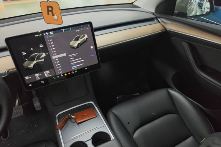Tesla Model Y 2021 car image #13