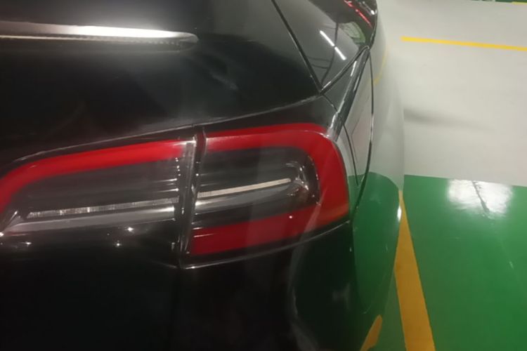 Tesla Model Y 2023 #8 Tesla Model Y 2023 car image #8
