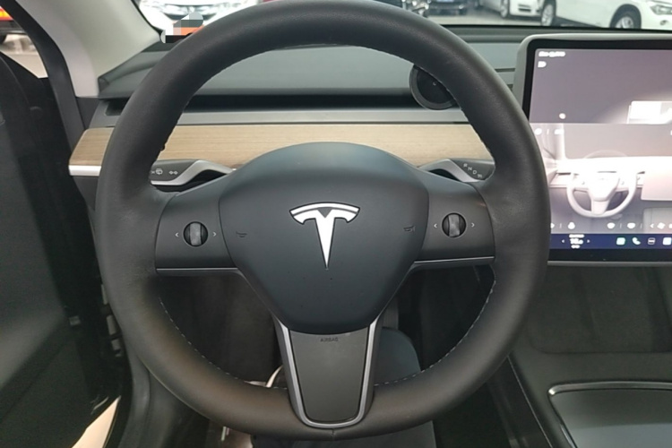Tesla Model Y 2022 car image #15