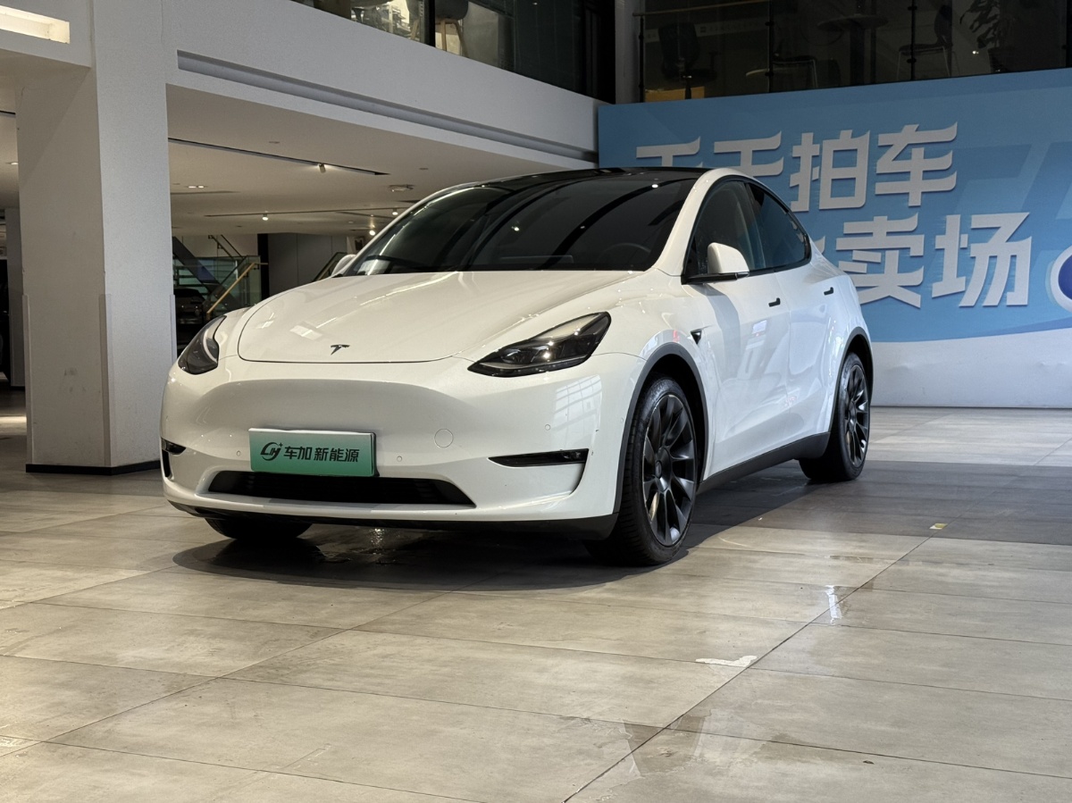 Tesla Model Y 2021 car image 