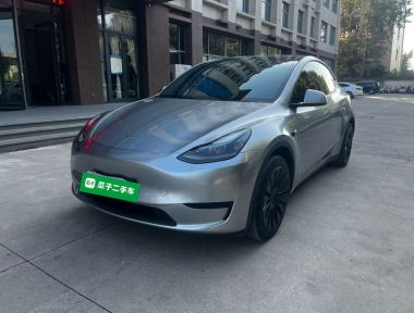 Tesla Model Y 2022 Tesla Model Y 2022 car image