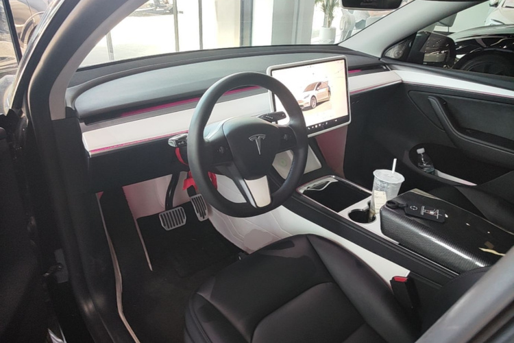 Tesla Model Y 2024 car image #10