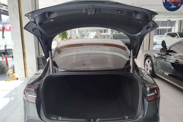 Tesla Model 3 2020 #19 Tesla Model 3 2020 car image #19