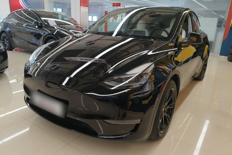 Tesla Model Y 2021 #2 Tesla Model Y 2021 car image #2