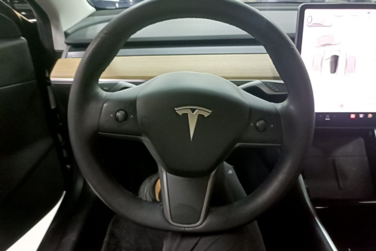 Tesla Model 3 2020 car image #11