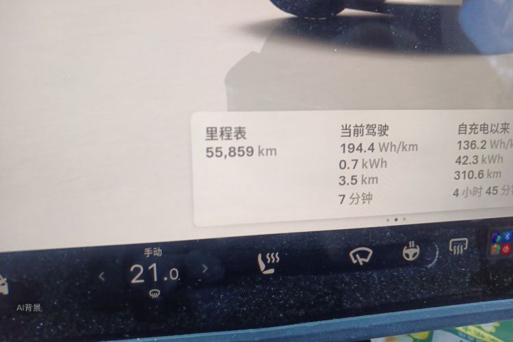 Tesla Model Y 2024 car image #14