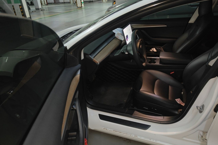 Tesla Model 3 2021 car image #9
