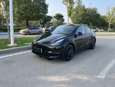 Tesla Model Y 2023 car image 