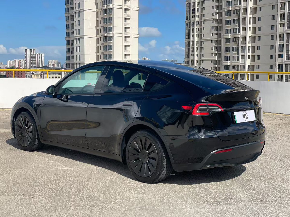 Tesla Model Y 2021 car image #8