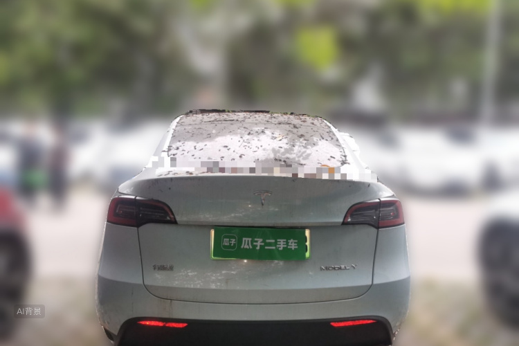 Tesla Model Y 2022 car image #6