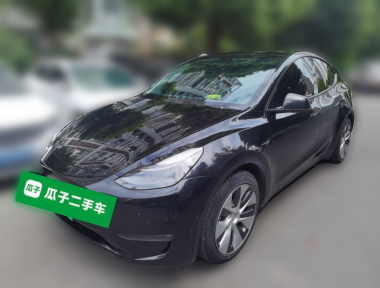 Tesla Model Y 2022 Tesla Model Y 2022 car image