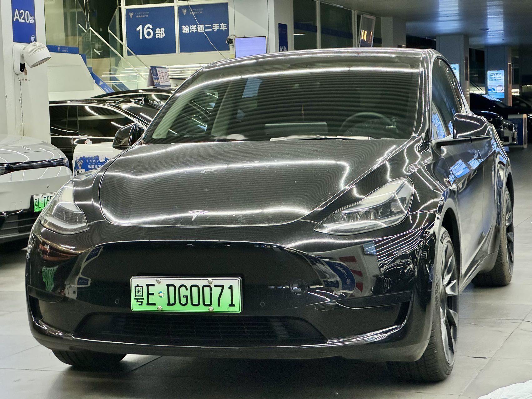 Tesla Model Y 2022 immagine di auto 