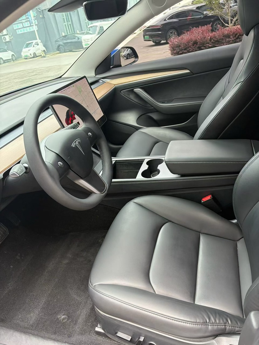 Tesla Model 3 2021 immagine di auto #3