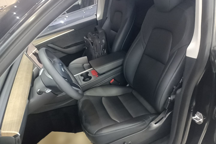 Tesla Model Y 2021 #15 Tesla Model Y 2021 car image #15