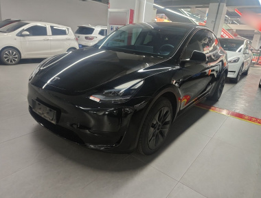 Tesla Model Y 2023 Tesla Model Y 2023 car image