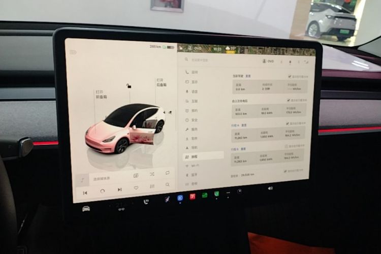 Tesla Model Y 2024 car image #13