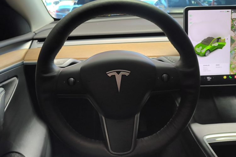 Tesla Model Y 2021 car image #11