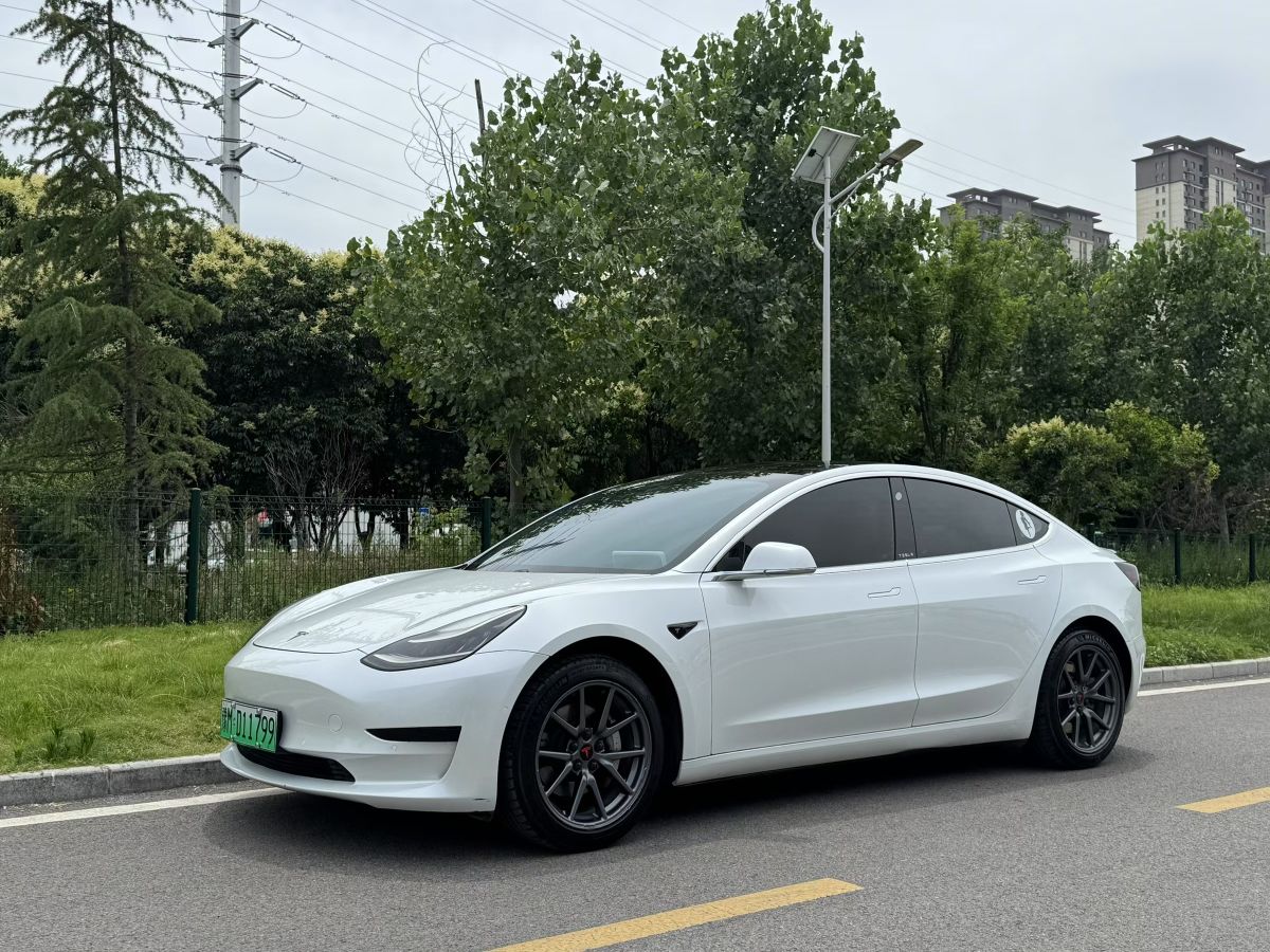 Tesla Model 3 2020 Tesla Model 3 2020 car image