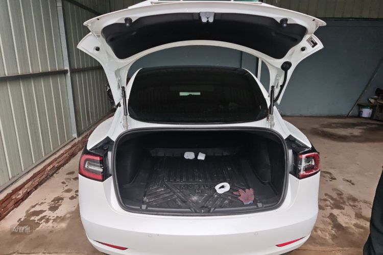 Tesla Model 3 2020 #21 Tesla Model 3 2020 car image #21