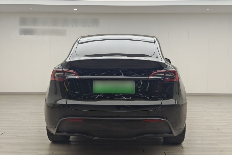 Tesla Model Y 2023 car image #6