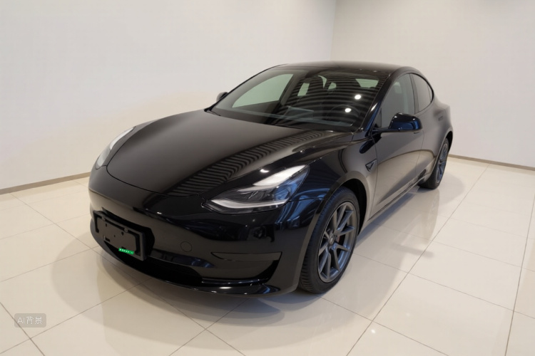 Tesla Model 3 2021 car image #2