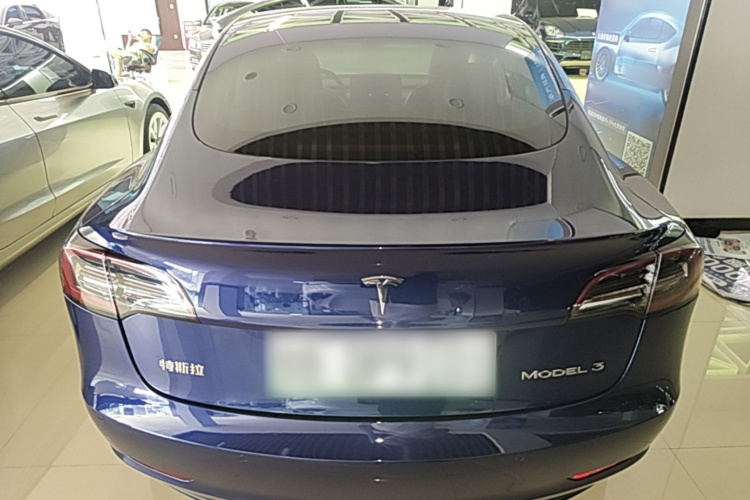 Tesla Model 3 2020 immagine di auto #6