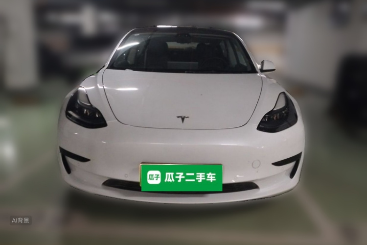 Tesla Model 3 2021 #3 Tesla Model 3 2021 car image #3