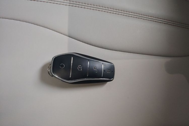 BYD Song Pro New Energy 2024 immagine di auto #14