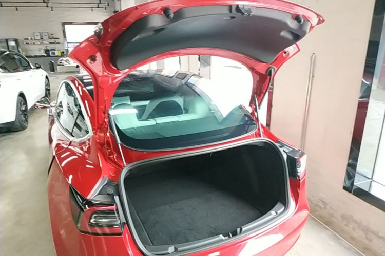 Tesla Model 3 2020 car image #19