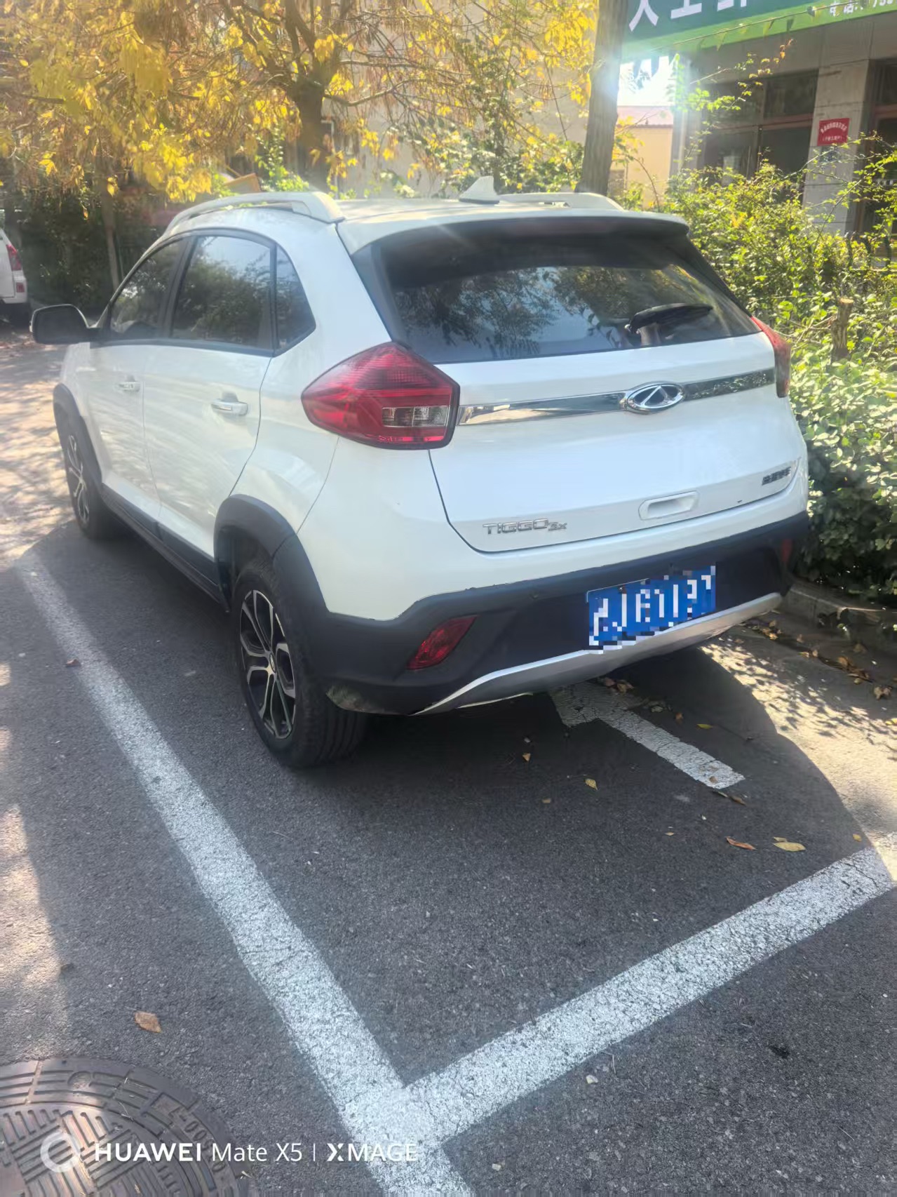 Chery Tiggo 3x 2019 immagine di auto #3