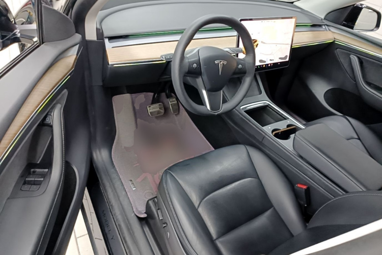 Tesla Model Y 2021 car image #12