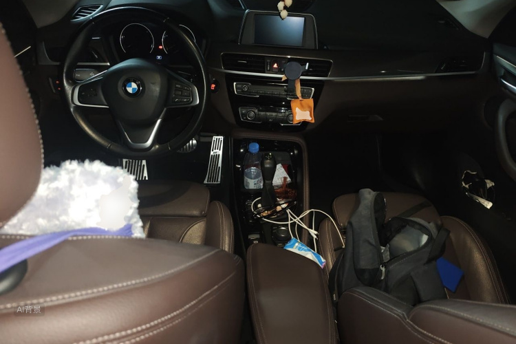 BMW X1 2019 car image #11