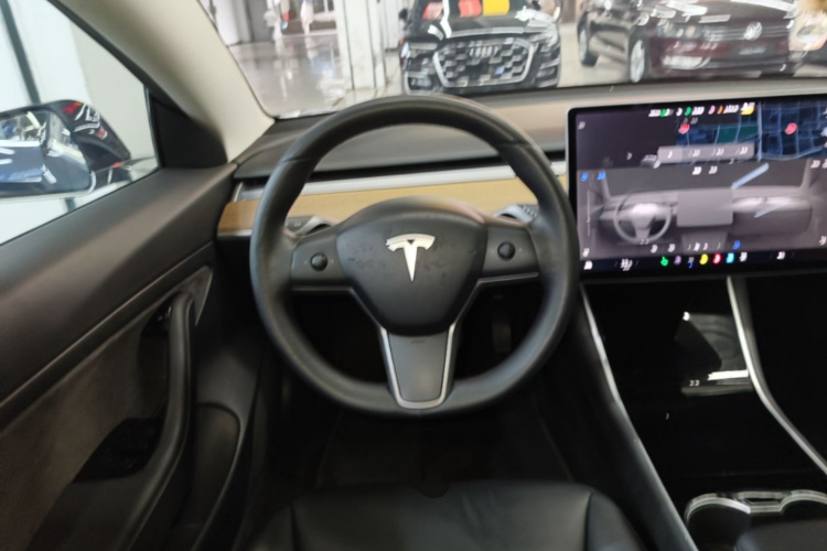 Tesla Model 3 2020 immagine di auto #11