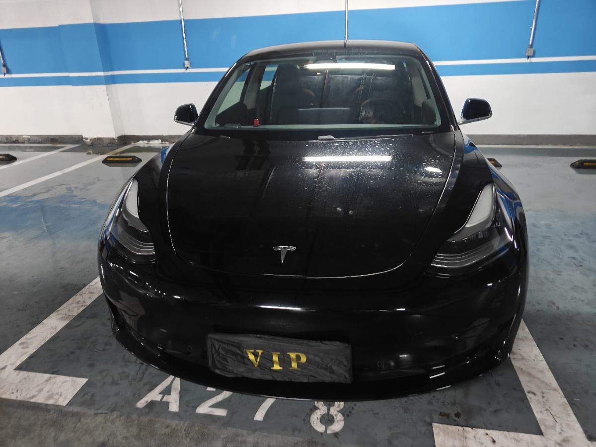 Tesla Model 3 2020 #2 Tesla Model 3 2020 car image #2