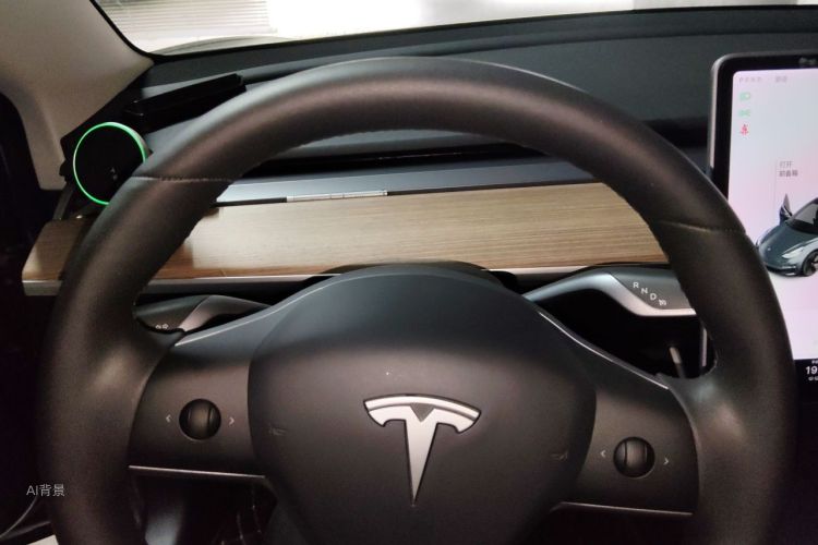 Tesla Model 3 2020 car image #13