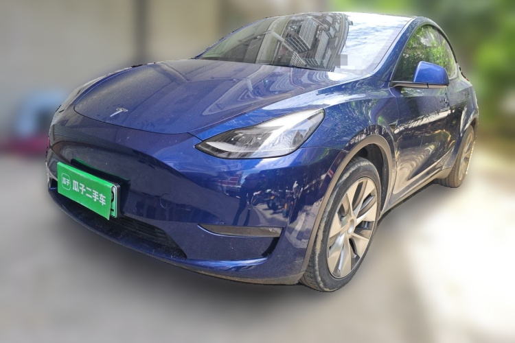 Tesla Model Y 2021 #2 Tesla Model Y 2021 car image #2