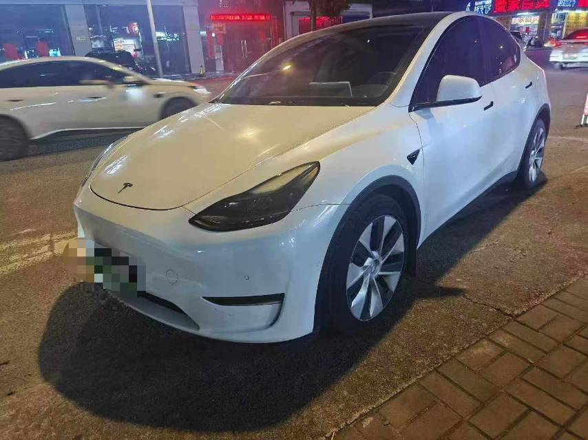 Tesla Model Y 2021 Tesla Model Y 2021 car image
