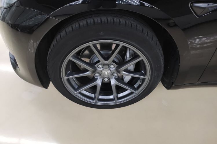 Tesla Model 3 2021 immagine di auto #9