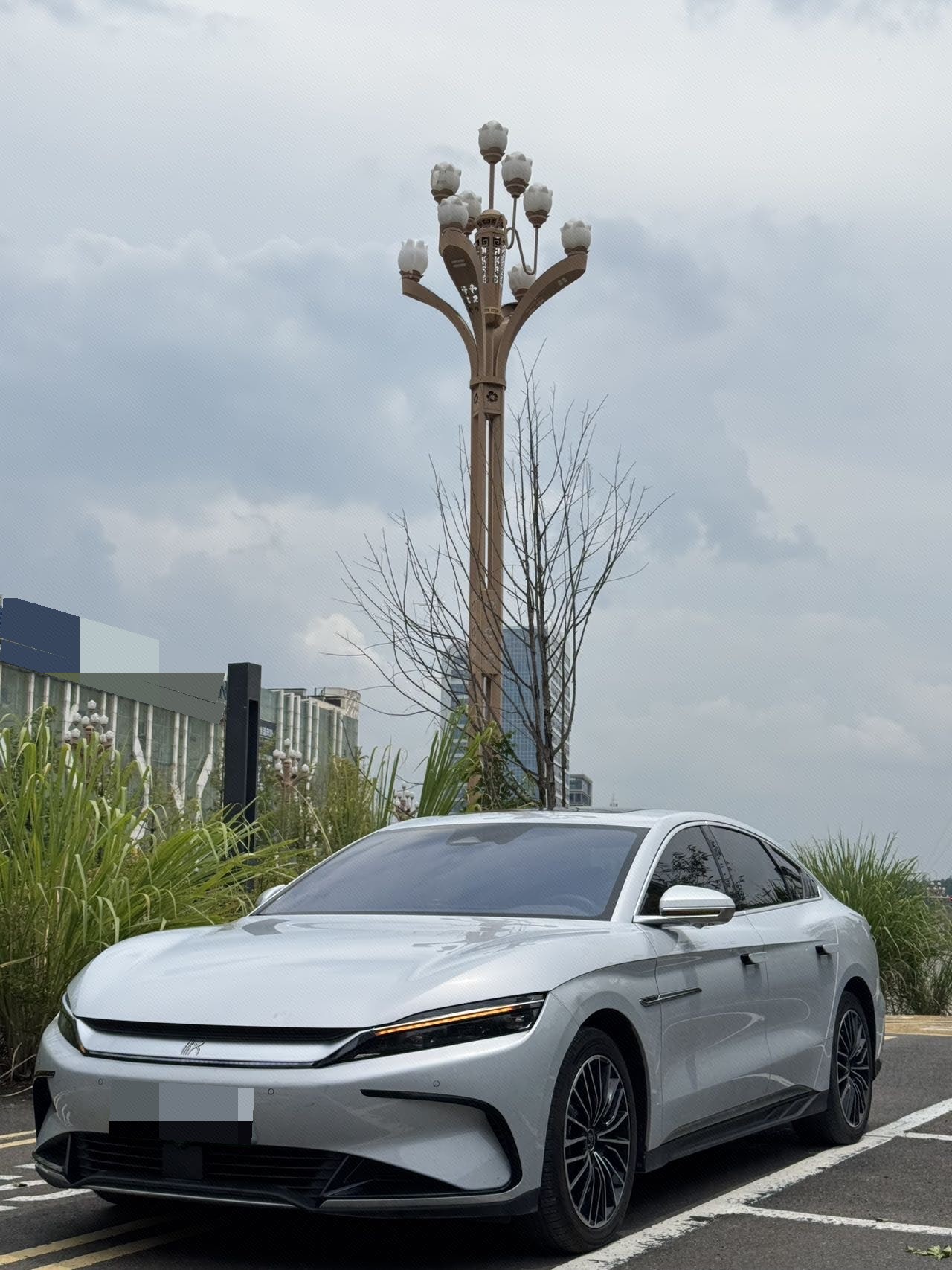 BYD Han 2024 car image 