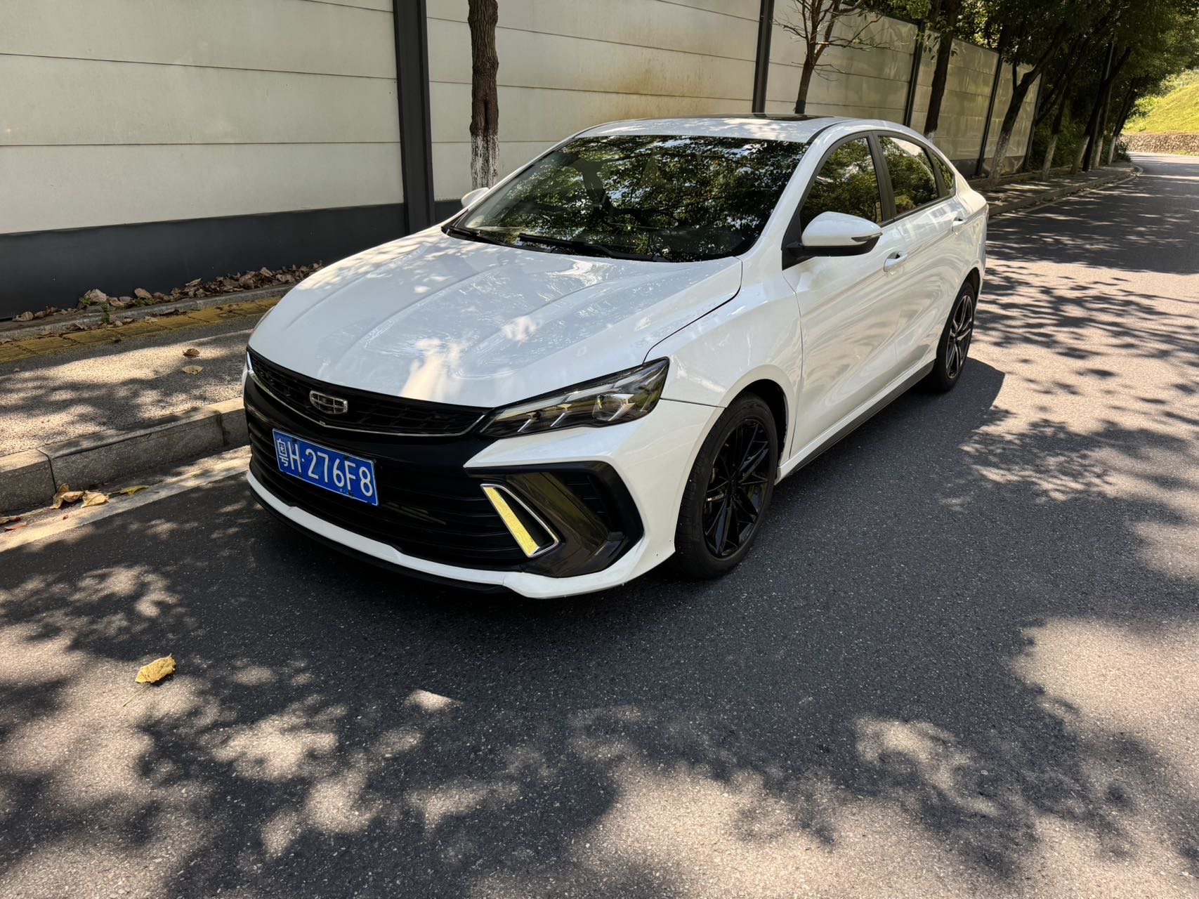 GEELY Binray 2023 GEELY Binray 2023 car image